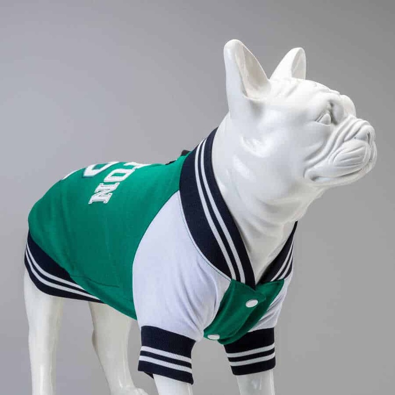 LINDO CLOTHING COLLEGE SWEATSHIRT : BOSTON