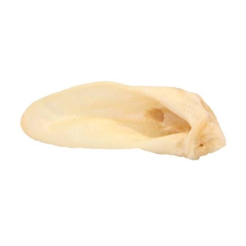 Red Barn Lamb Ears Dog