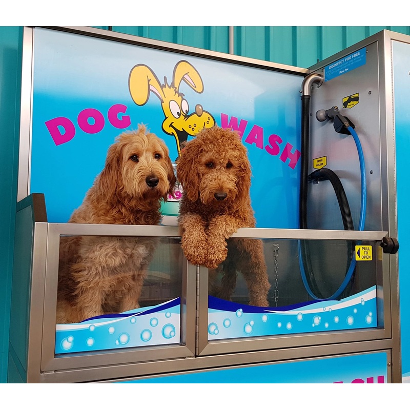 DOG WASH SERVICE
