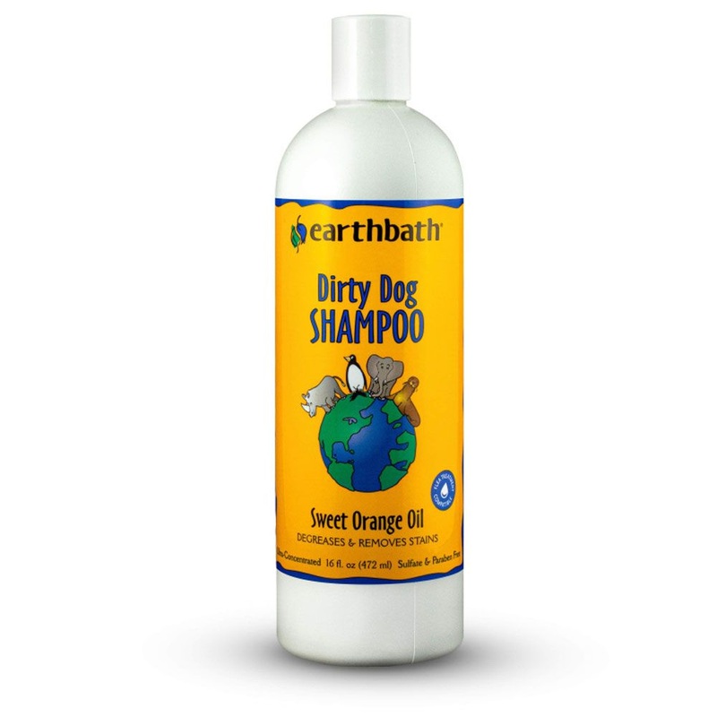 EARTHBATH - SWEET ORANGE OIL SHAMPOO