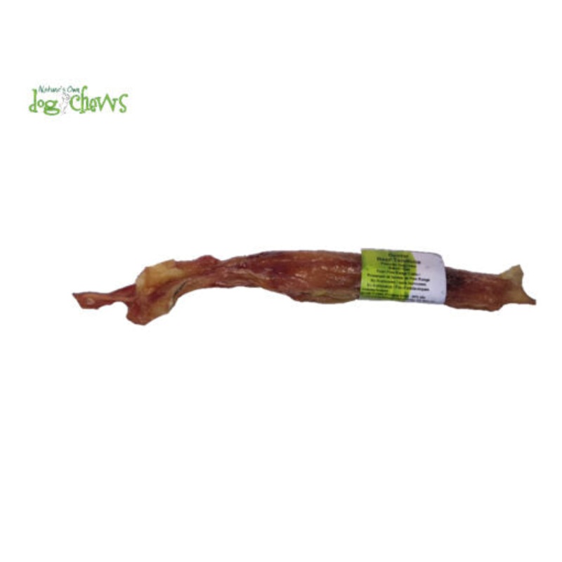 NATURE'S OWN DENTAL TENDONS 9"-12"