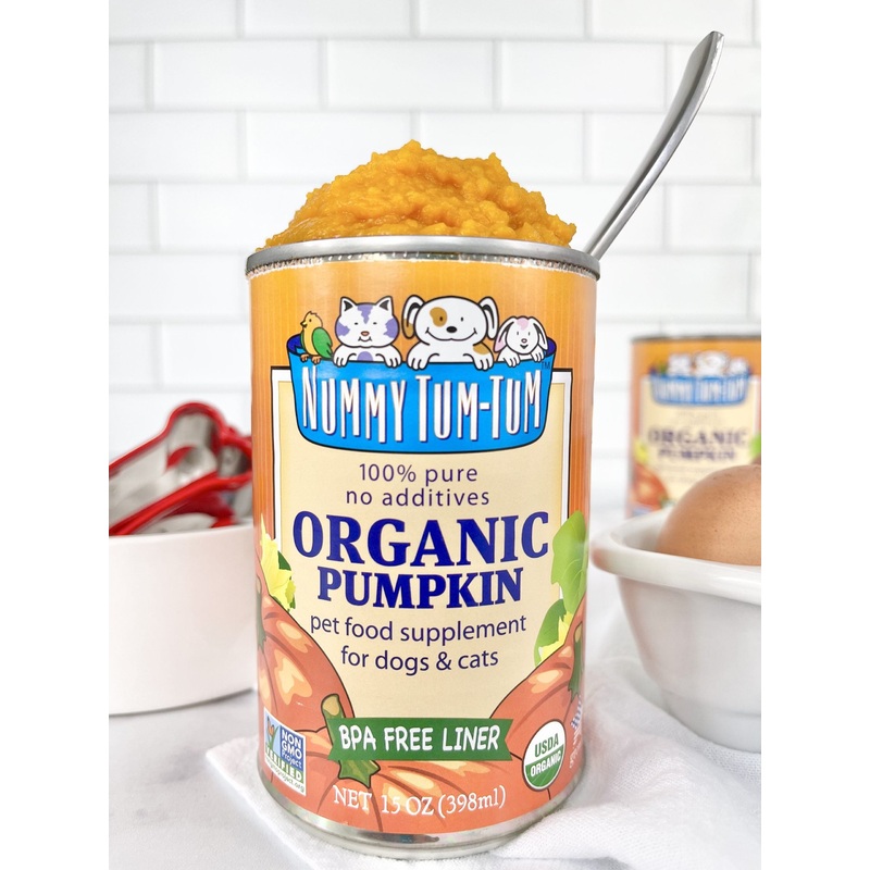 NUMMY TUM TUM ORGANIC PUMPKIN FOR PETS WET FOOD