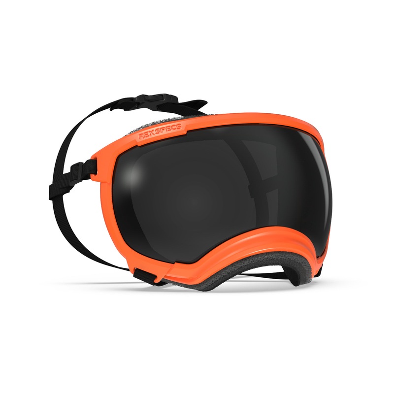 REX SPECS GOGGLES FOR DOGS - V2